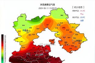 电讯报：西布朗的出售已经接近完成，美国财团在竞购中处于领先